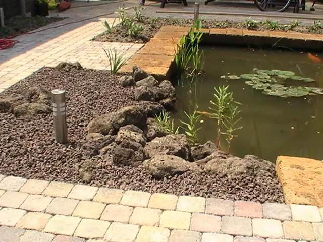 Vijver met natuurstenen rand en oeverbeplanting naast een terras