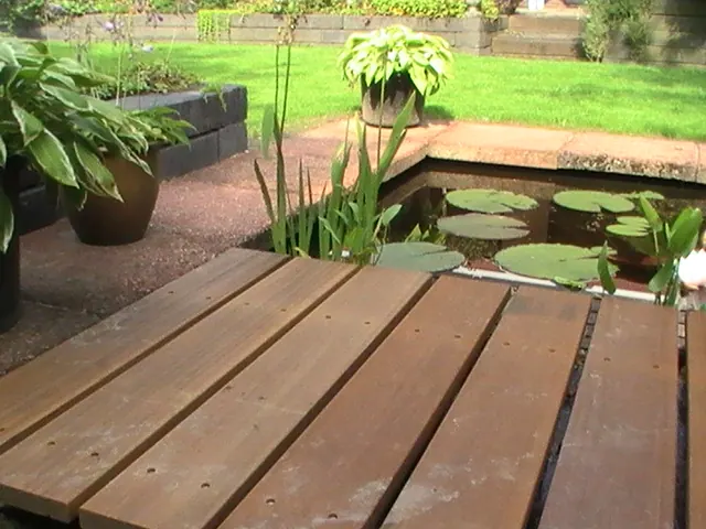 Vijver met houten vlonder en oeverbeplanting